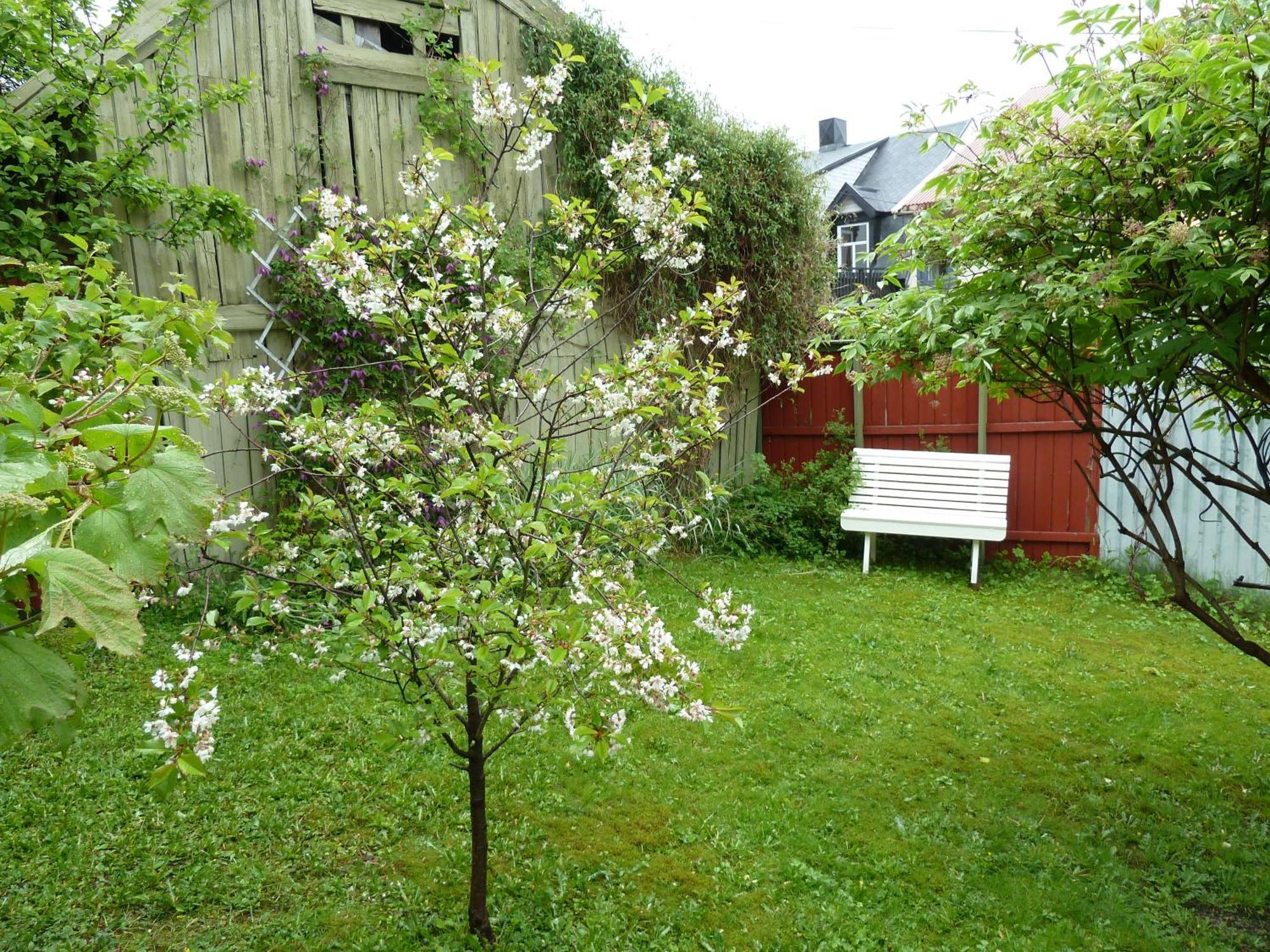 Red Old House Tromso Apartment 외부 사진